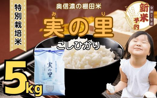 【先行予約】<令和７年産新米> 特別栽培米 『奥信濃の棚田米 実の里』 こしひかり 精米 5㎏ (7-19A)