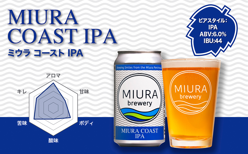 【全6回定期便】【三浦ブルワリー】クラフトビール 12本飲み比べセット　M110-T06