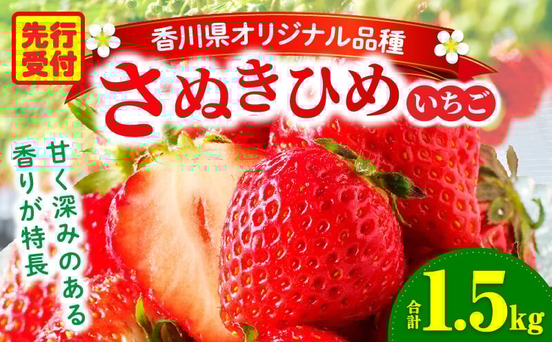 三木町地域いちご部会「さぬきひめ」1.5kg