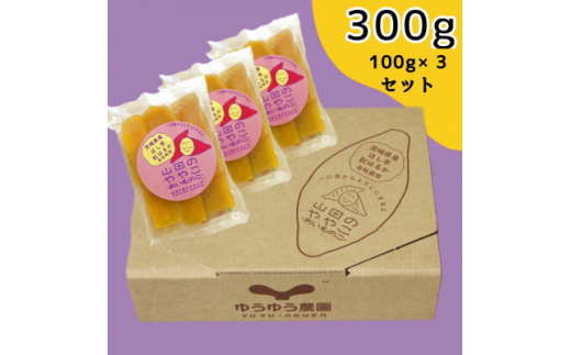紅はるか 干し芋 300g 山田のややこ -おいものこ- ほしいもセット | 干し芋紅はるか 干しいも ほし芋 平干し さつまいも サツマイモ お芋 おいも スイーツ ダイエット 小分け ギフト プレ