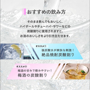 A1-22563／財寶温泉強炭酸水 500ml×48本