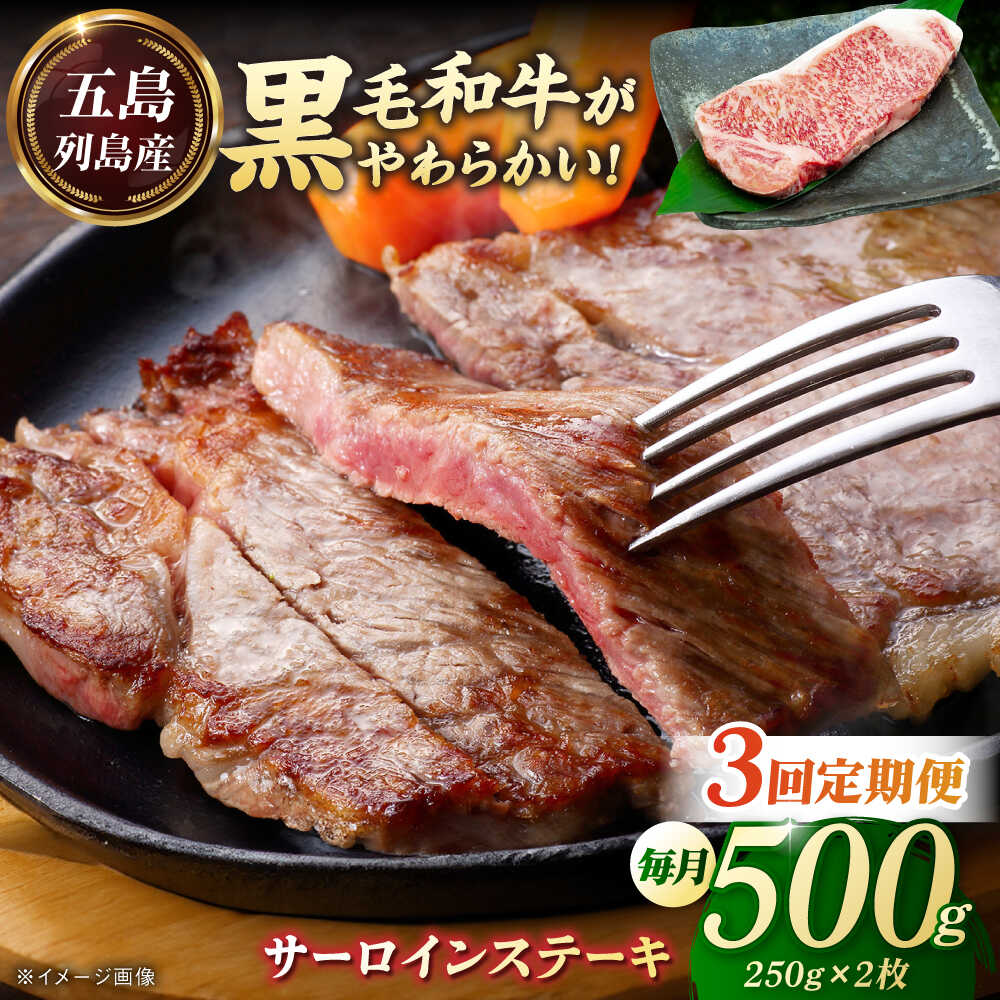 【ふるさと納税】【全3回定期便】五島列島産 黒毛和牛 サーロインステーキ 250g×2枚 五島市/山口Farm[PGJ018]