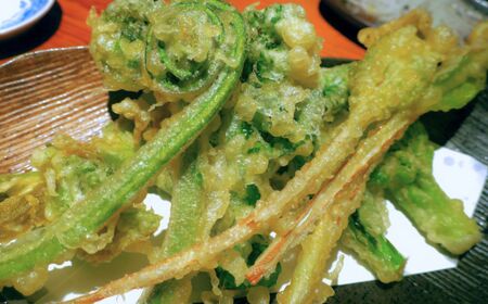 【期間限定】令和8年産 旬の山菜 こごみ 500g【新潟県 糸魚川市 山菜 コゴミ こごみ 野菜 能生谷 おおかやば山菜園】