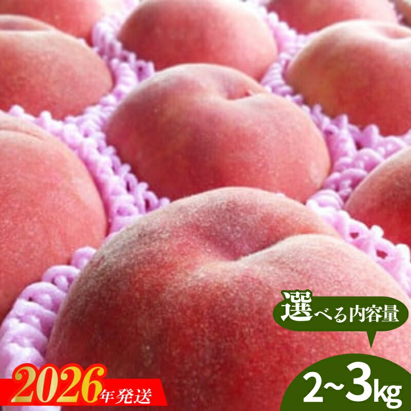 【ふるさと納税】もも「あかつき」約2kg 約3kg 【2026年発送 先行予約】