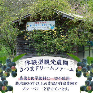 y528 《訳あり・加工用》冷凍ブルーベリー(1kg) 冷凍 国産 九州産 鹿児島県産 くだもの 果物 フルーツ シャーベット ジャム フローズン ベリー おやつ デザート 【体験型観光農園さつまドリ