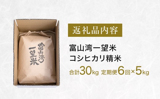 【6回定期便】富山湾一望米　コシヒカリ 精米 【容量5kg】農家直送 米 定期便