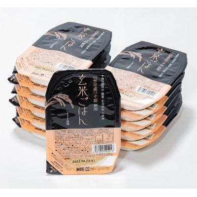 ふるさと納税 南陽市 山形つや姫玄米パックご飯　150g×24P　〜栽培期間中　農薬・化学肥料不使用〜【S1776】 |  | 02