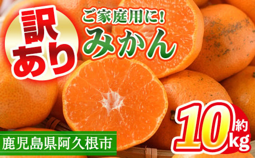 
＜先行予約受付中！2024年10月上旬以降順次発送予定！＞訳あり！鹿児島県産みかん(計約10kg) 大容量 傷あり 不揃い 国産 柑橘 果物 くだもの フルーツ【三笠農業生産】a-12-88
