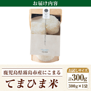 K-198-A 《令和5年産》てまひま米(品種：にこまる)(計300g：300g×1袋)【末蜜農園】霧島市 お米 精米 白米 米 こめ コメ ご飯 ごはん 栽培期間中農薬不使用