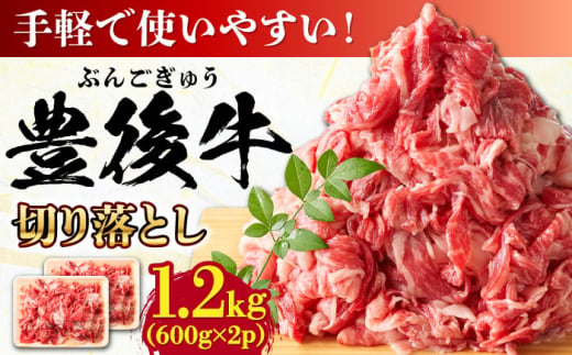 【大容量パック！】 おおいた豊後牛 牛肉 切り落とし 1.2kg (600g×2) 日田市 / 株式会社MEAT PLUS　肉 牛肉 和牛 [AREI004]