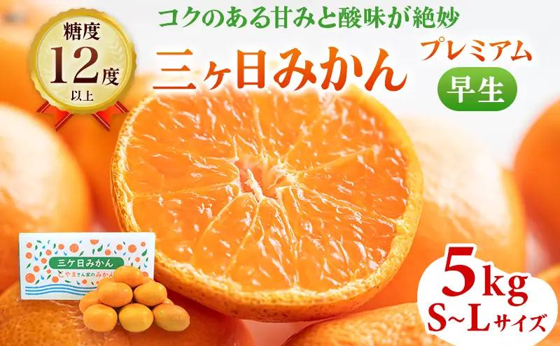 みかん プレミアム 早生 5kg Lサイズ混在 蜜柑 みかん