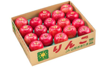【訳あり品】 りんご（サンふじ・〇秀） 約5kg 14玉～23玉   リンゴ 林檎 果物 【2025年11月下旬-12月上旬発送予定】