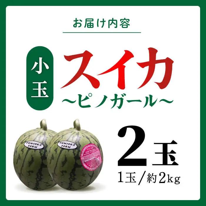 先行予約 小玉スイカ 2玉 ピノガールZEM003