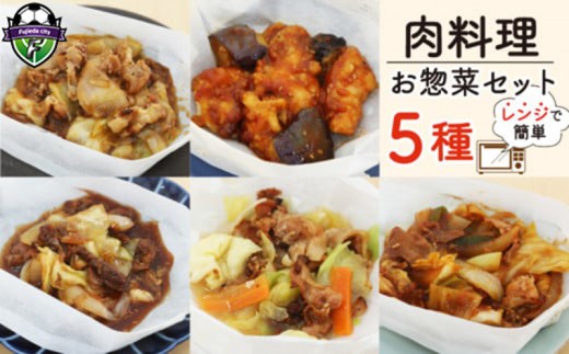 肉料理 ミールキット 5種 セット 紙包み レンチン  簡単 料理 冷凍 おかず レンジ 調理 韓国 惣菜 料理 おつまみ 静岡県 藤枝市