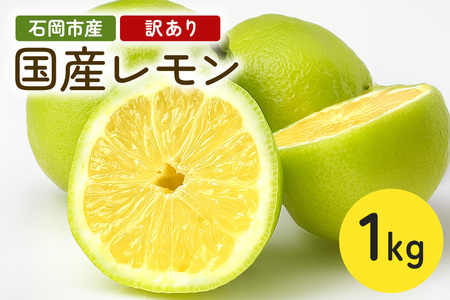 筑波山麓で育ったフレッシュレモン　1kg（訳あり） 1kg 訳アリ 不揃い 訳あり 茨城県 石岡市 B03-008