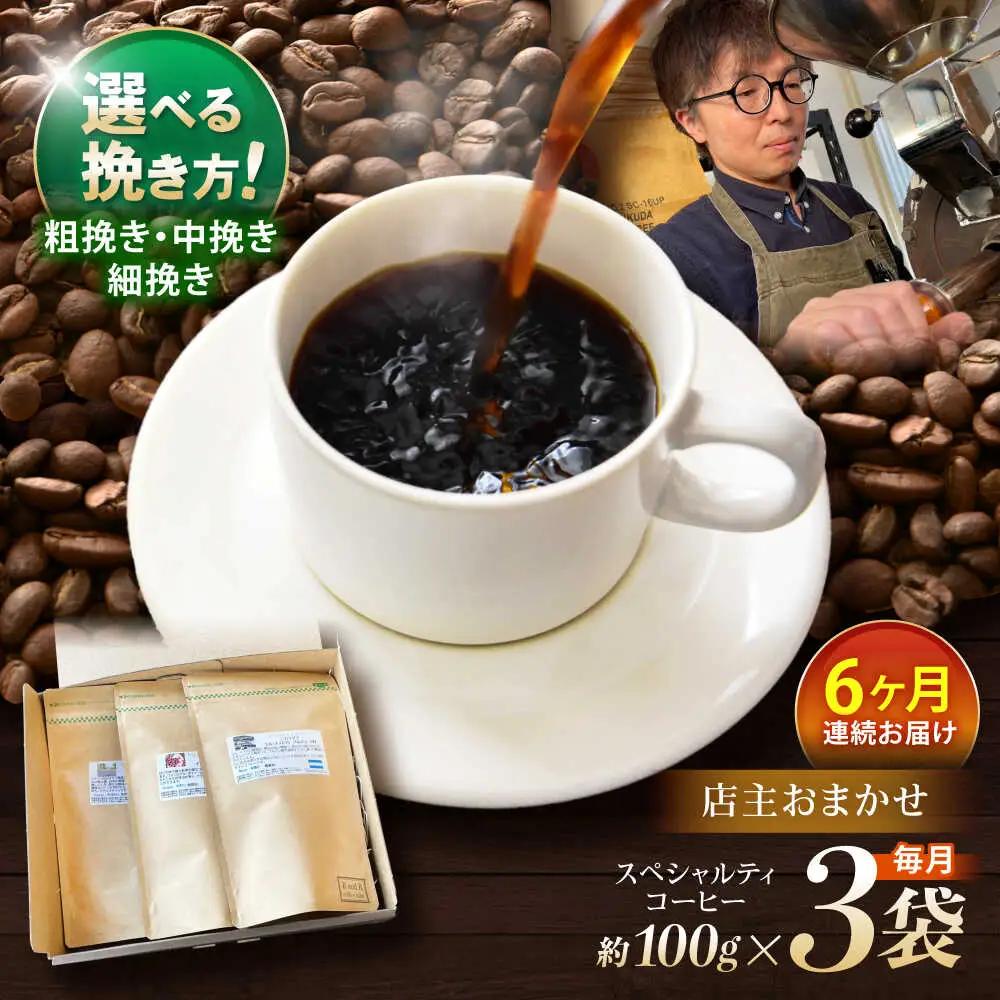 【6回定期便】挽き方が選べます！自家焙煎スペシャルティコーヒーおまかせセット(中挽き) / スペシャルティコーヒー ブレンド コーヒー 中挽き / 諫早市 / R and R coffee labo [AHCJ009]