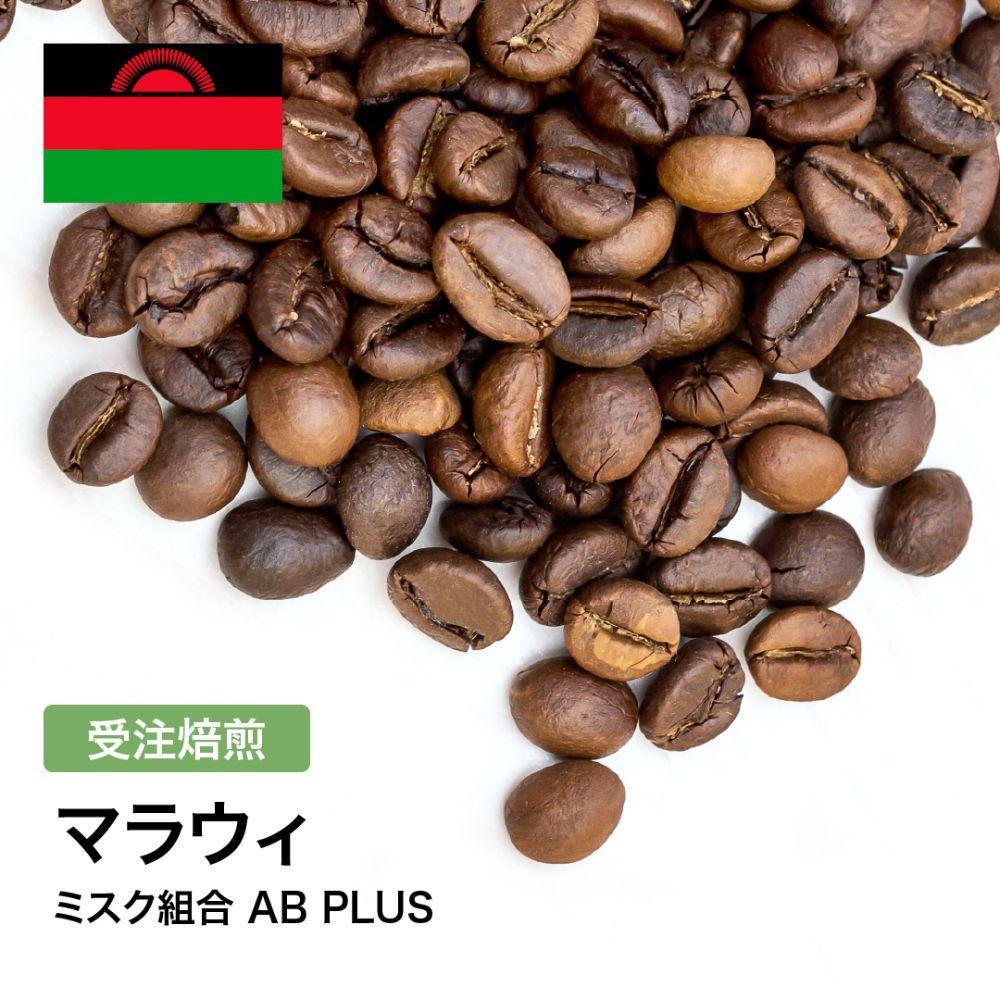 コーヒー豆 #298 マラウィ ミスク組合 AB PLUS 受注焙煎！310g 珈琲豆  自家焙煎 272183_BG413