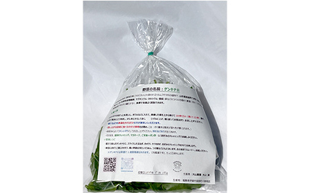 【ミネラル豊富野菜】 ゲンキナ 1kg F20C-948