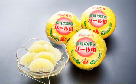 【先行受付】上天草市産 パール柑 約5kg 12玉前後 柑橘 フルーツ 果物 果実 熊本県 上天草市【2027年2月下旬～4月下旬順次発送予定】