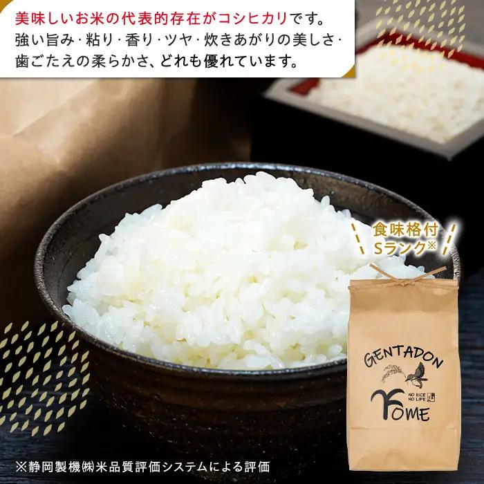 AB1-012 特別栽培米　コシヒカリ（白米）18kg