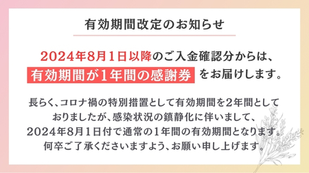 【12/24入金確認分まで 年内発送 】嬬恋村 で使える 感謝券255,000円分 (255枚) 温泉総選挙 万座温泉 万座 鹿沢温泉 観光 旅行券 宿泊券 宿泊補助券 旅行 温泉 温泉 ペンション 