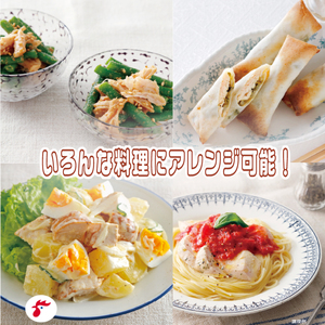 アマタケサラダチキン セット 10袋 サラダチキン 小分け 