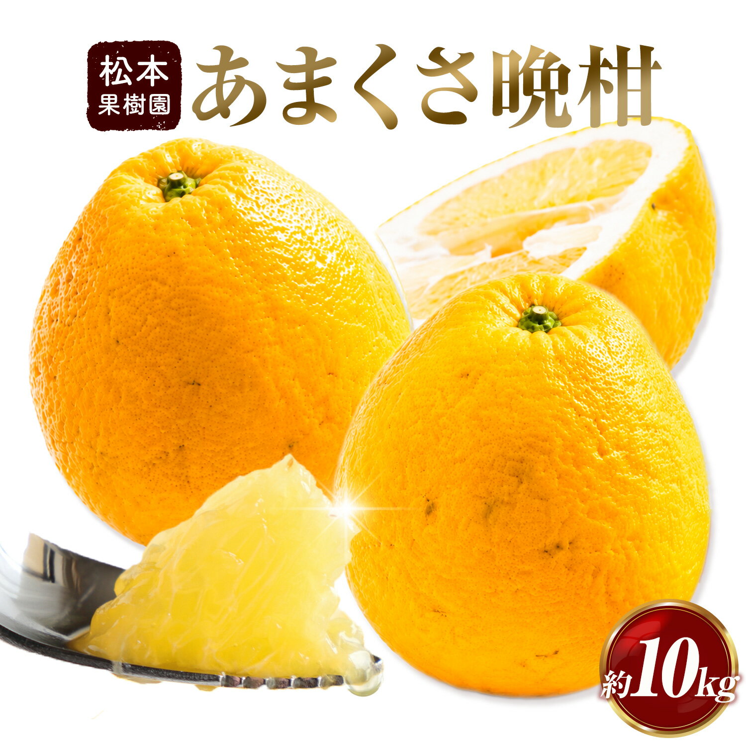 【ふるさと納税】みかん あまくさ晩柑 10kg 松本果樹園 《5月上旬-5月下旬出荷予定》 熊本県 苓北町 スイーツ デザート 果物 ミカン 蜜柑