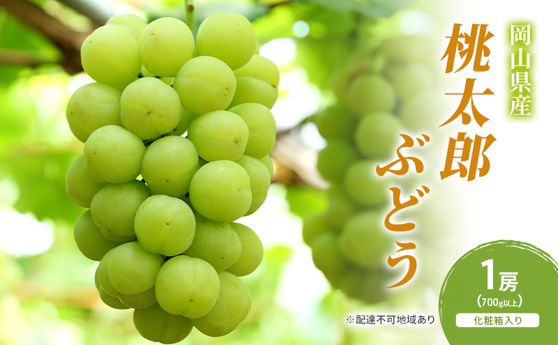 ぶどう 2024年 先行予約 桃太郎ぶどう 1房(700g以上) 化粧箱入り ブドウ 葡萄 岡山県産 国産 フルーツ 果物 ギフト