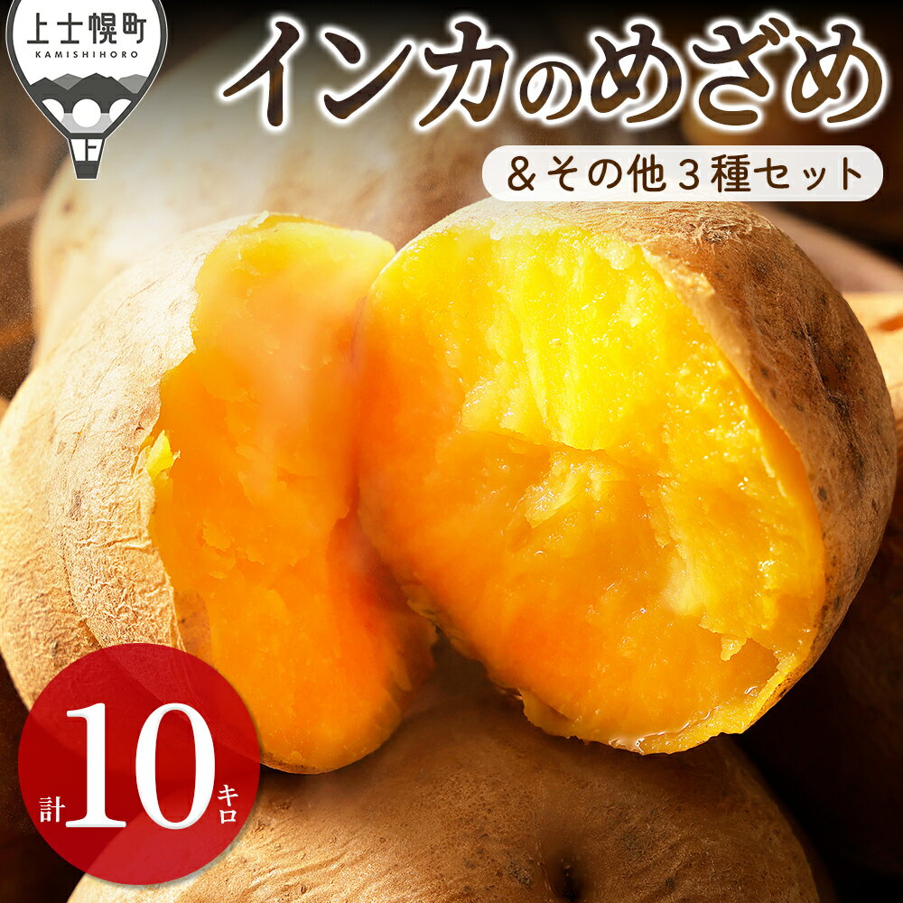 【ふるさと納税】2026年産 北海道産 インカのめざめ その他3種 じゃがいも セット 計10kg（2.5kg×4種） 高評価★4.5 北海道 上士幌町 加藤農場 野菜 秋野菜 インカの目覚め ジャガイモ 馬鈴薯 産地直送 ◆2026年11月配送予定