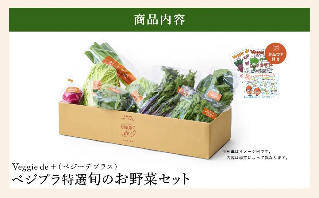 ベジプラ特選 旬の野菜セット 定期便：12回 毎月お届け Veggie de＋