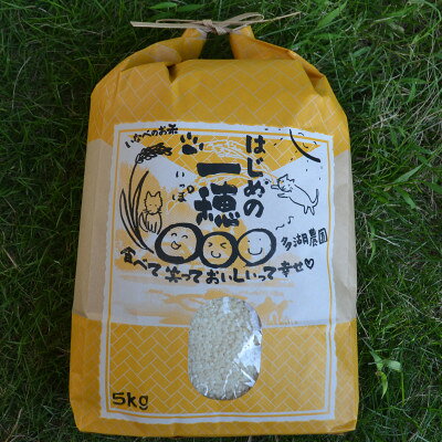 【ふるさと納税】令和8年産コシヒカリ 多湖農園の『はじめの一穂』5kg 精米【1777422】