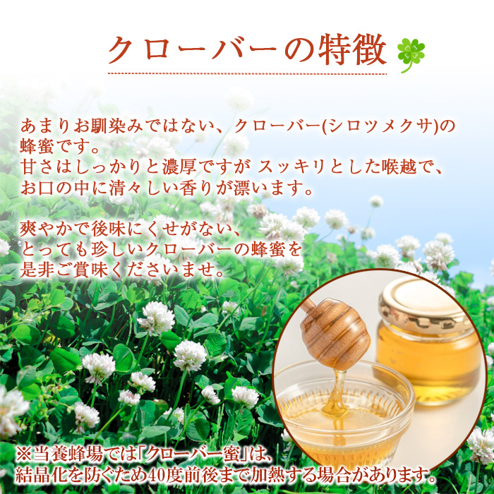 【 国産純粋はちみつ 】 クローバー 蜂蜜 520g × 1本 ／ シロツメクサ しろつめくさ クローバー蜜 くろーばー はちみつ ハチミツ ハチ蜜 ハニー 国産 岩手県産 珍しい 【高橋養蜂】