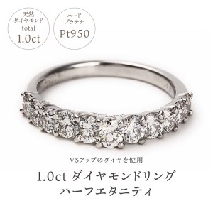 【ふるなび限定】全てＶＳダイヤを使用した1.0ＣＴハーフエタリング　R2579DI-P2