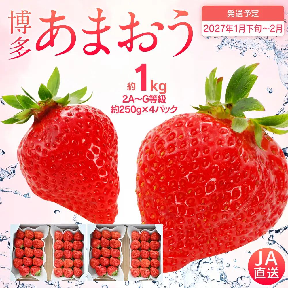 先行予約いちご あまおう 合計約1kg 約250g×4パック【2027年1月下旬～2月順次発送予定】 いちご