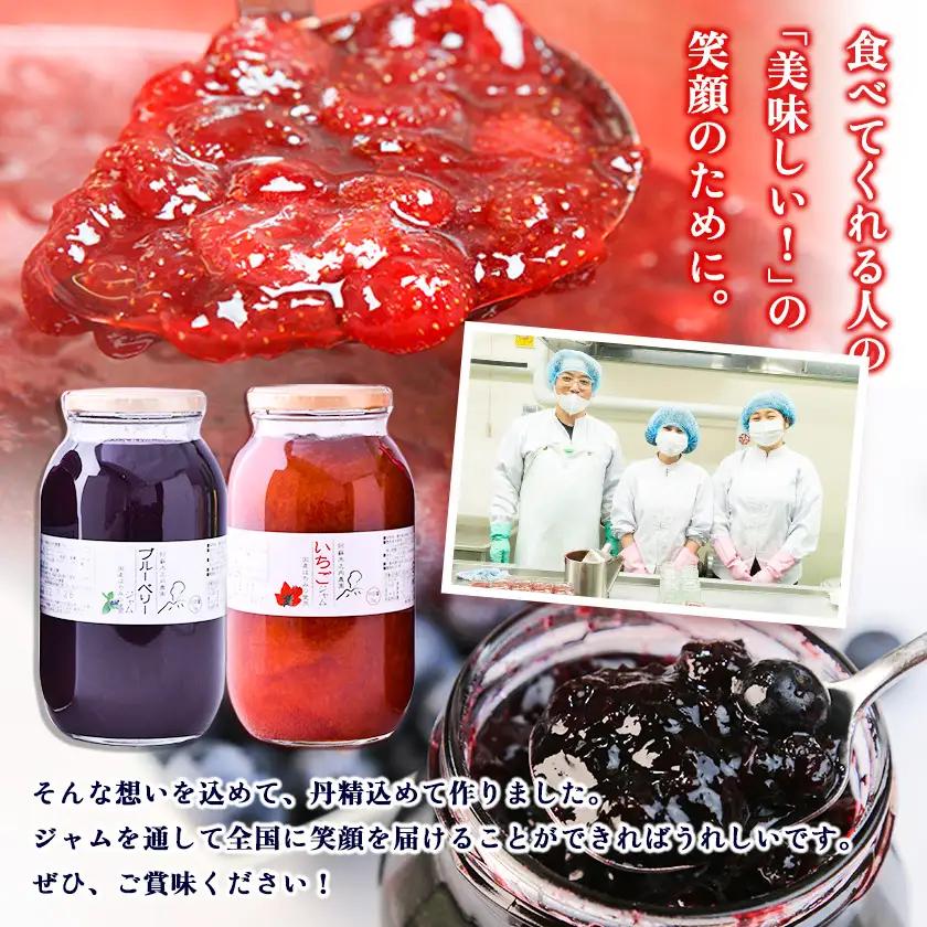 手作り いちご ジャム ブルーベリー ジャム 1kg×2本|木之内農園