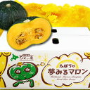 【ふるさと納税】≪令和7年産予約受付！≫夢みるマロン南瓜 10kg 野菜 かぼちゃ 送料無料　北海道　北海道美瑛　北海道美瑛町　美瑛町　美瑛 秋野菜　おおとり　[013-59]