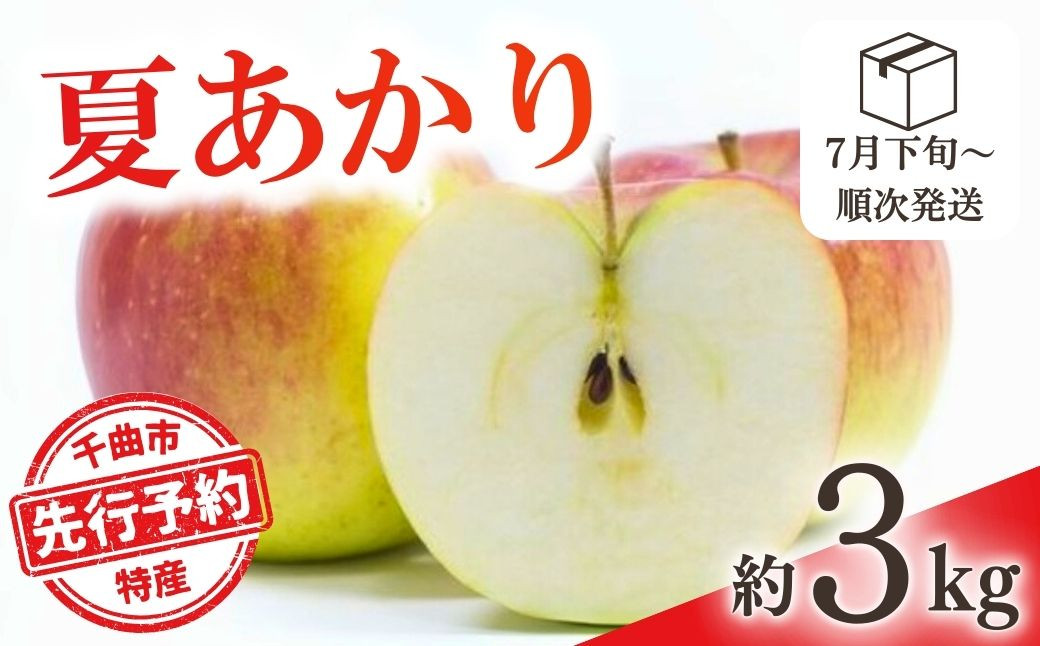 
            【2025年先行予約】りんご 夏あかり(長野県オリジナル品種)  約3kg 林檎 千曲市 長野県産 信州
          