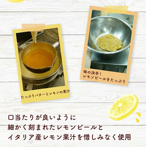爽やかな風味♪ 美浜檸檬マドレーヌ 10個 フレベールラデュ 焼き菓子 洋菓子 スイーツ お菓子 個包装 贈り物 プレゼント 愛知県 美浜町