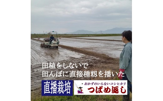 【令和8年産/毎月定期便】酒かす & 直播栽培 おかずのいらないコシヒカリ「つばめ返し」白米2kg 6か月定期便 FC044004【 コシヒカリ こしひかり 米 お米 新潟県 燕市 燕三条 】