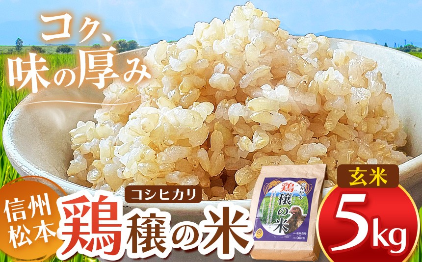 
            鶏穣（けいじょう）の米　玄米　５ｋｇ  |  米 コシヒカリ こしひかり 玄米 鶏穣の米 信州 松本産 長野県 信州米 こめ 玄米 おこめ ごはん 銘柄米 信州産 ふるさと納税
          