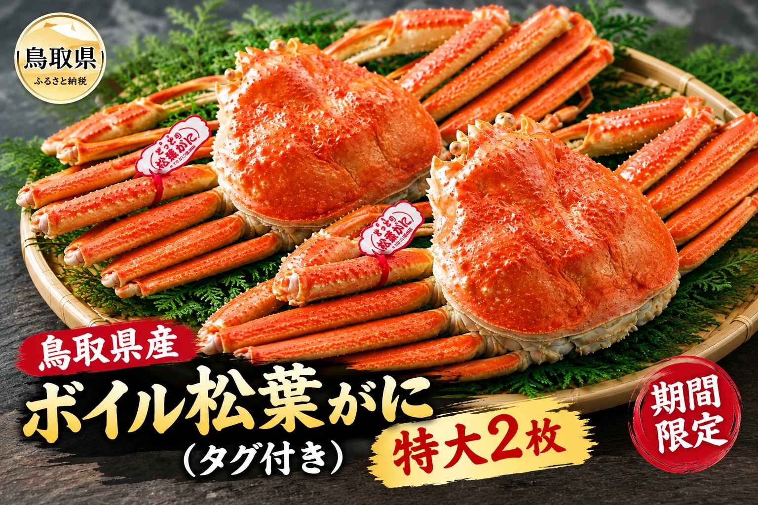 
                  鳥取県産　ボイル松葉がに（タグ付き）特大２枚【期間限定】_T2600495　
                
