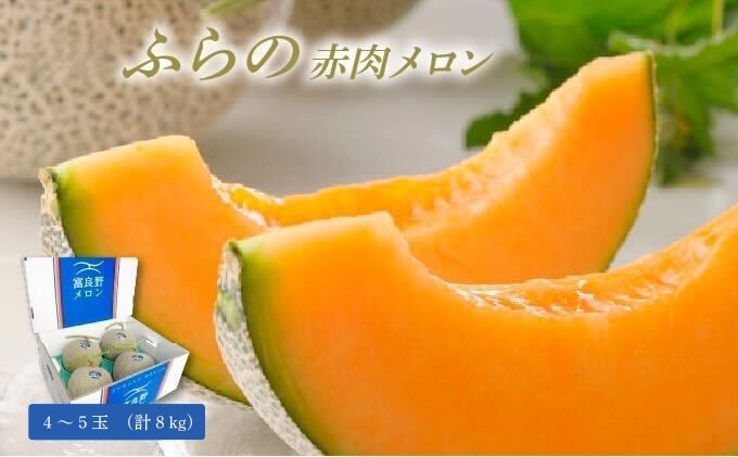 【2026年8月発送】JAふらの 赤肉メロン 4～5玉（計8kg）富良野市 メロン フルーツ 果物