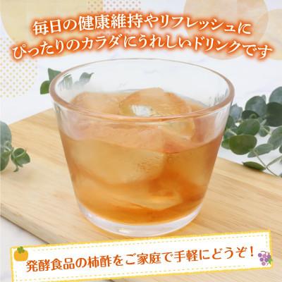 ふるさと納税 寒河江市 飲む柿酢 ぶどう味 紙パック 125ml×24本 MB008 |  | 03