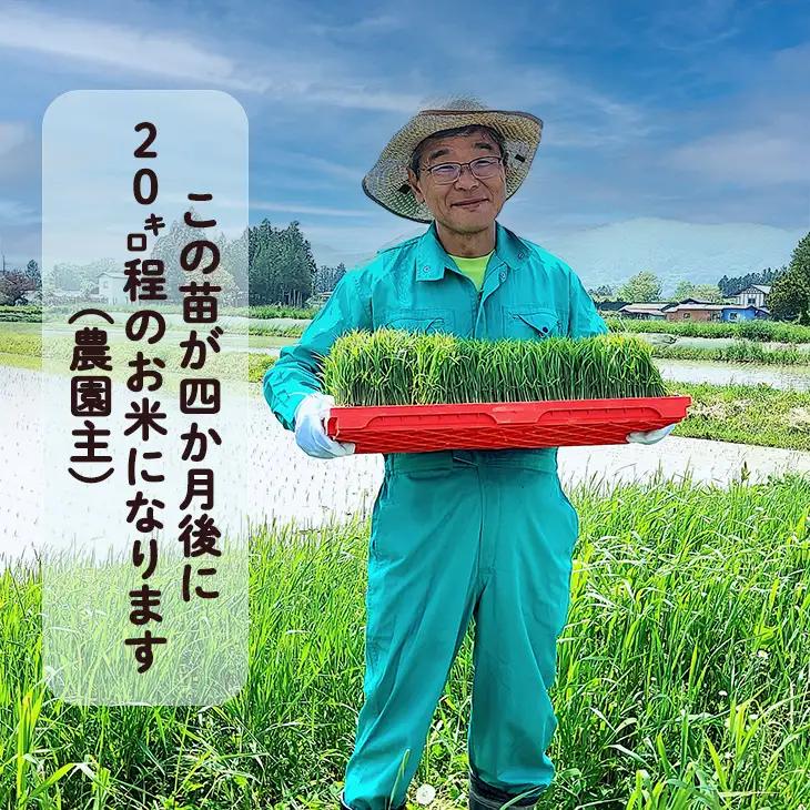 新米 銀河のしずく 銀河のしずく白米5kg 【1893】