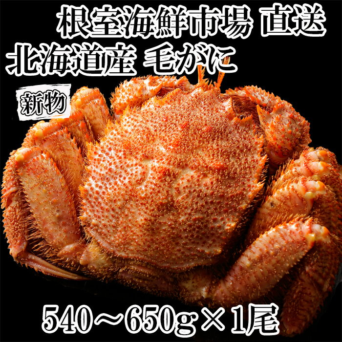 【ふるさと納税】ボイル毛がに540～650g×1尾 B-11120
