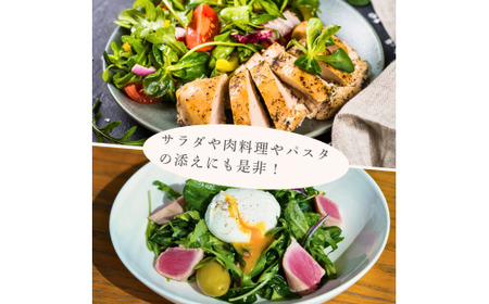 オーガニック ルッコラ 500g オーガニック ルッコラ