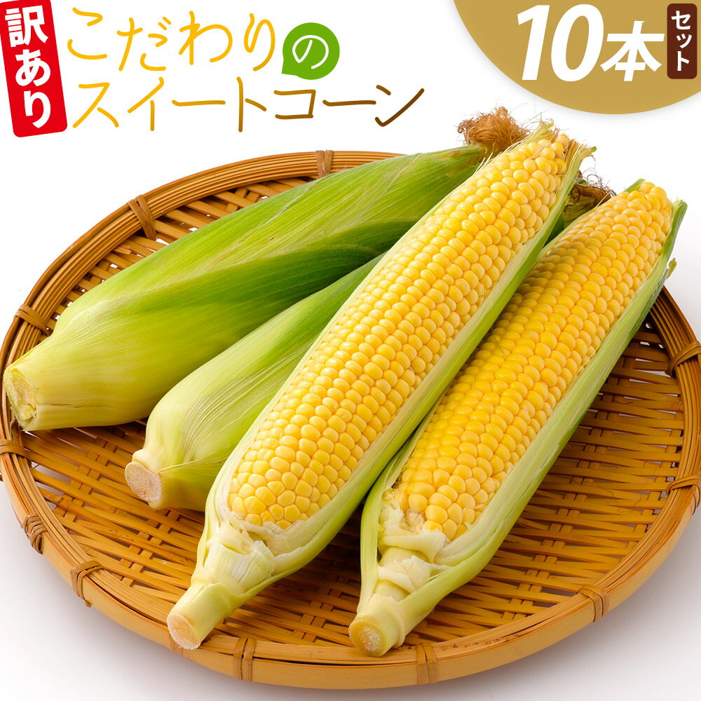 【ふるさと納税】【数量限定】こだわりのスイートコーン 訳あり 10本セット - 国産 朝採れ 新鮮 トウモロコシ とうもろこし コーン 野菜 青果 訳アリ ご家庭用 家庭用 アルカナファーム 高知県 香南市【冷蔵】 af-0007