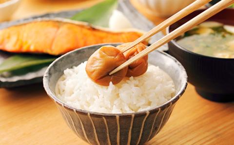 ひらそ農園の完熟南高梅の梅干し　1kg（塩分約13%）＜004-002_5＞