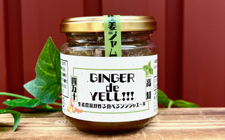 R5-745．生姜農家が作った四万十市産無添加万能生姜ペースト＆生姜紅茶セット
