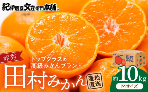 V7443_【2026年先行予約】田村みかん／特選ギフト品10kg【Mサイズ】赤秀